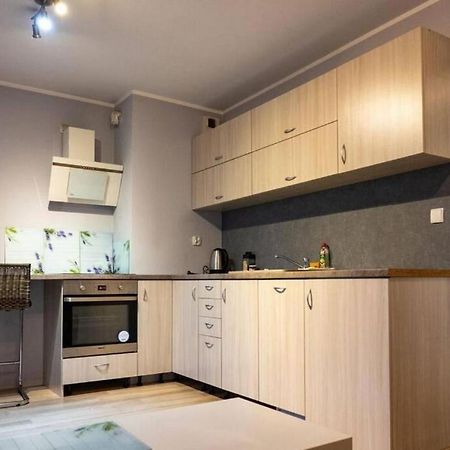 Mini Apartament Cracow / Krakow Z M. Postojowymアパートメント エクステリア 写真