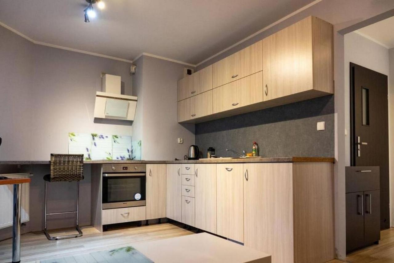 Mini Apartament Cracow / Krakow Z M. Postojowymアパートメント エクステリア 写真